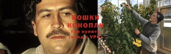 МДПВ Горняк