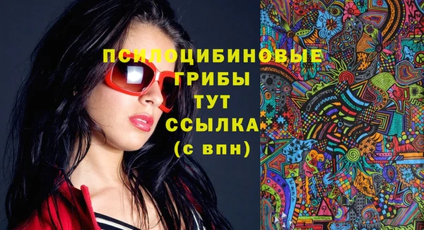 МДПВ Горняк