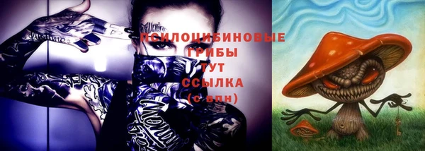 МДПВ Гусиноозёрск