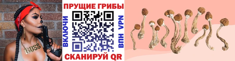 ОМГ ОМГ ссылка Курган Галлюциногенные грибы мухоморы