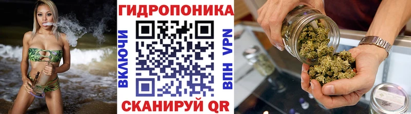 Марихуана планчик  Курган 